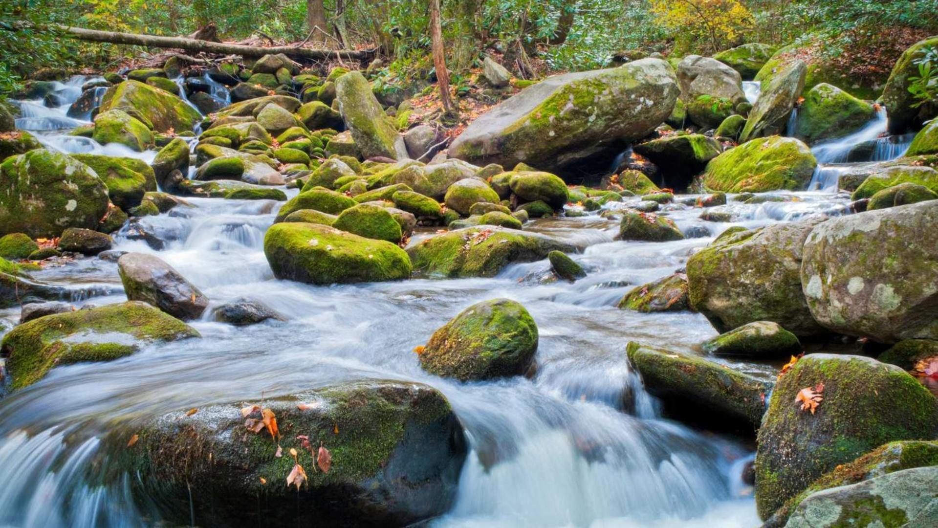 Little Smoky Retreat , 3 Bedroom , Close To Downtown Gatlinburg And Pigeon Forge Esterno foto